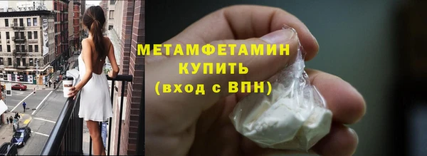 прущие грибы Балабаново