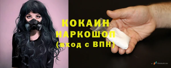 mix Пересвет