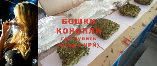 прущие грибы Балабаново