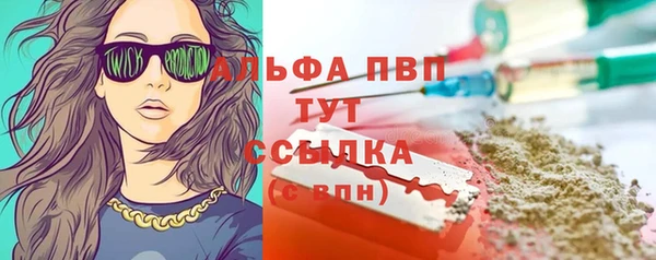 прущие грибы Балабаново