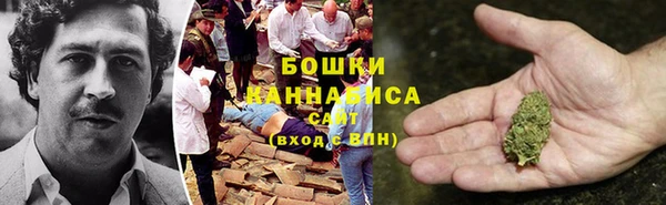 прущие грибы Балабаново