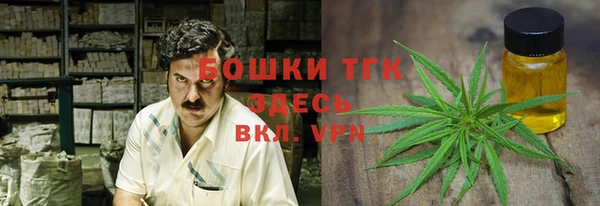 твердый Балахна