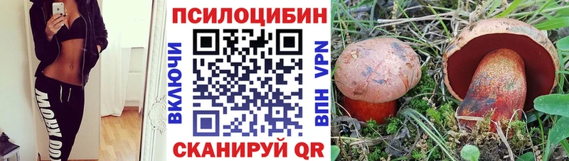 Галлюциногенные грибы Psilocybine cubensis  цена наркотик  Верещагино 